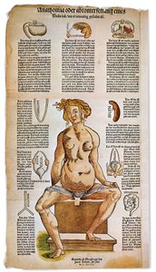 医学：ルネサンス時代の医学書に描かれた、女性の解剖学的構造。座っている女性の姿の周りに、肝臓、肺、横隔膜、胃、生殖器などの重要な臓器がリストアップされ、図解されている。カラー版画 作： Unbekannter Künstler