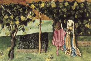 腹部脂肪を減らし、やせる果物、ブドウのミニチュア - IBN BUTLAN, Abu-l Hasan al-Mujtar (c. 1001 - 1066)。バグダッドのネストリウス派キリスト教医師、哲学者。フォリオ83r。ブドウのイラスト。