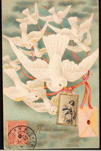古い絵葉書/Amities sinceres/Dove 作： Unbekannt