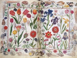 アルバムからのページフィリップ・ハインホーファーのアミコルム、1596-1633 作： Unbekannt