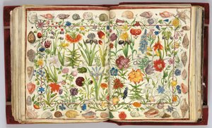 アルバムからのページフィリップ・ハインホーファーのアミコルム、1596-1633 作： Unbekannt