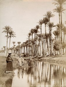 ナイル川沿いのヤシの木。手前は民族衣装を着た男たち 作： Unbekannter Künstler
