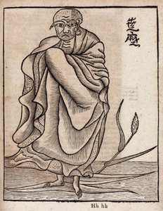 菩提樹の肖像（v