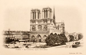 ポストカード/ノートルダム寺院/パリ/セーヌ/イル・ド・フランス/フランス 作： William M. Timlin