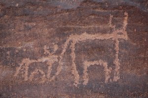 ロックアート、先史時代。エジプト、ウワイナット山地の牛とその子牛の彫刻。(紀元前8000年から3000年の時代）。)写真