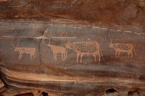 ロックアート、先史時代スーダン、ウワイナット山塊の4頭の牛の彫刻（Karkur-TalhまたはKarkur Talh）。紀元前8000年から3000年の時代。写真 作： Unbekannt