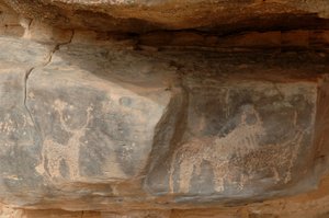 ロックアート、先史時代スーダン、ウワイナット山塊の3頭の牛の彫刻（Karkur-TalhまたはKarkur Talh）。紀元前8000年から3000年の時代。写真 作： Unbekannt