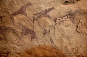 ロックアート、先史時代。スーダン、ウワイナット山塊にある、装飾されたシェルターの中の牛の群れと多色文字の岩絵。紀元前8000年から3000年の時代。写真 作： Unbekannt