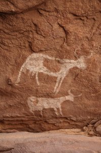 ロックアート、先史時代スーダンのUweinat山塊（Karkur-TalhまたはKarkur Talh）にある、大きな角（長い角）を持つ2頭の牛が装飾されたシェルターの中にいる岩絵。紀元前8000年から3000年の時代。写真撮影 作： Unbekannt