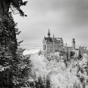 ノイシュヴァンシュタイン城、フュッセン、ドイツ、2013年 (白黒写真) 作： Leopold Blonder