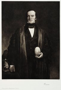 リチャード・オーウェン卿（イギリスの博物学者、古生物学者）1845年頃