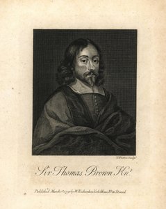 科学、医学、宗教、秘教に関するイギリスの多才な作家、サー・トーマス・ブラウン、1682年没。ウィリアム・リチャードの「グレンジャーのイングランド伝記を挿絵にした肖像画」（ロンドン）の銅版画。