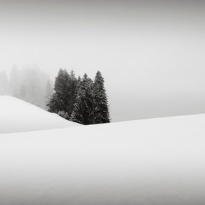 Snowytales オアシス、バイエルン州、ドイツ、2013 年 (白黒写真) 作： Leopold Blonder