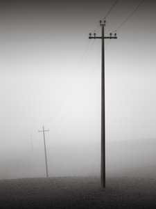 連帯、トスカーナ、イタリア、2015年 (白黒写真) 作： Leopold Blonder