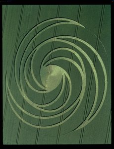 1999年7月4日のスパイラルフォーメーション（写真