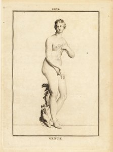 ローマ神話の愛と美と性と豊穣の女神、ヴィーナスの像 作： Unbekannt