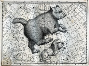 北極圏の星座：大熊と小獅子。カミーユ・フラマリオン著「Les étoiles et les autres curiosites du ciel」からの抜粋 作： Unbekannt