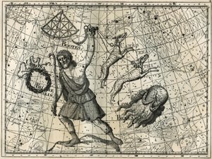 バウワー、ボレアル・クラウン、狩猟犬、ベレニスの髪の毛。カミーユ・フラマリオンの「Les étoiles et les autres curiosites du ciel」からのエングレーヴィング。 作： Unbekannt