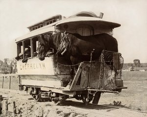 シェレリン・ホース・カー（コロラド州デンバー、1890年頃）（モノクロ写真 作： Nicolas Liez