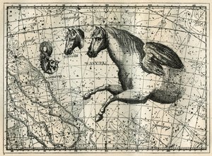 ペガスス座は、一対の翼を持った馬の半身のように描かれており、小馬、馬の頭、ドルフィンが描かれています。カミーユ・フラマリオン著「Les étoiles et les autres curiosites du ciel」より引用 作： Unbekannt