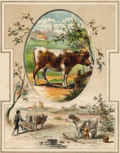 牛です。Mon premier Grand Alphabet "に掲載されたエングレーヴィング。ベルナルダン＝ベシェ版、パリ、1890年頃。挿絵はA.des Lilleuls。ページなし、46ページ。寸法：31x22cm。 作： Unbekannt