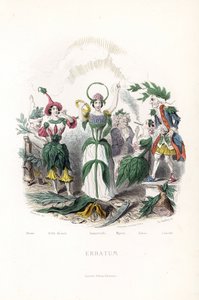花代、綿帽子で眠るオリーブの花、夜の美女、王冠と蛇のオーレオールを持つイモーテル、老人のマートル、葉巻を吸うタバコ、老銃士の月桂樹 - シャルル・ジェフロワのオー・フォルテ (181)