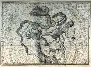 北極点の身近な星座たち。小熊座、ドラゴン座、セフィー座、キリン座、トナカイ座、メシエ座。カミーユ・フラマリオン著「Les étoiles et les autres curiosites du ciel」からの図版 作： Unbekannt