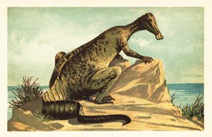 トラコドン ミラビリス、絶滅したハドロサウルス恐竜。1908 年 (リトグラフ) 作： Unbekannter Künstler