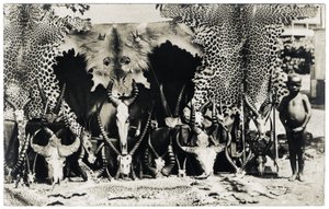 トロフィー、1910年頃（モノクロ写真） 作： Unbekannter Künstler