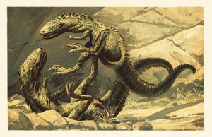 2 つの戦う Dryptosaurus aquilunguis.1908 (リトグラフ)