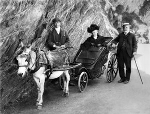 イギリス : ロバの引く無効な馬車。1906 作： Unbekannt