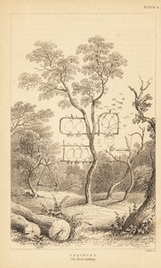 鳥捕り用ワイヤートラップ各種。 1889年（彫刻） 作： Unbekannter Künstler