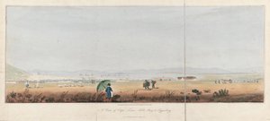 ケープタウン、テーブル湾とタイガーバーグ丘陵の眺め（南アフリカ）。リトグラフ（26.5x53.5cm）J.W.バーシェル作 作： Unbekannter Künstler