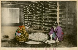 蚕の繭を熟成させる女性たち 作： Unbekannter Künstler
