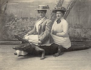 ワニのぬいぐるみに座る女性、1905年頃（白黒写真） 作： Unbekannter Künstler