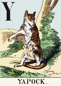 Y：ヤポック-狩猟アルファベット、1890年頃（彫刻） 作： Unbekannt