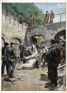 Zoo du Jardin des Plantes.ジャルダン・デ・プラントの動物園 作： Nicolas Liez