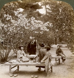 桜の下でピクニックを楽しむ家族、大室御所、京都、1904。 作： Underwood and Underwood