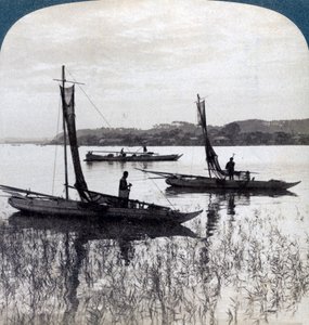 1904年、日本の横浜近郊に日没で帰ってくる漁船。