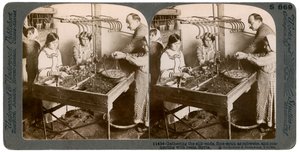 シルクの製造、シリア、1900年代。 作： Underwood and Underwood
