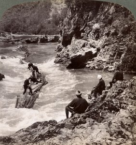 ログラフトに乗っている男性、1904年京都府桂川で保津急流を撮影