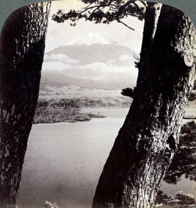 1904年、本栖湖の松を北西から見た富士山 作： Underwood and Underwood