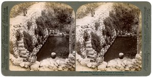 1900年、パレスチナ、エルサレム郊外のシロアムのプール。