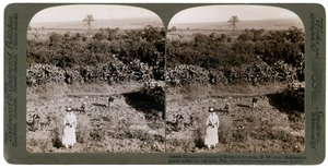 エスネレロン平原を横切り、1900年代にカーメルに向かうシュネムからの北西ビュー。 作： Underwood and Underwood