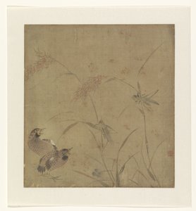 イナゴとキビの茎を持つウズラの表現のアルバム ページ 作： Unknown