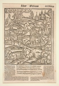 ストラスブール ヴァージルのページ、1502 年 作： Unknown