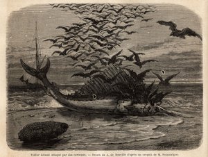 背中の帆の形をしたフィンのおかげで世界最速の魚である国際的な帆船が、海岸で故障し、カラスに襲われている。1851年から1852年にかけて、M.Pousselgueが「le tour」に掲載した「Quatre mois en Florida」という物語を説明するためのエングレーヴィング。 作： Unknown artist