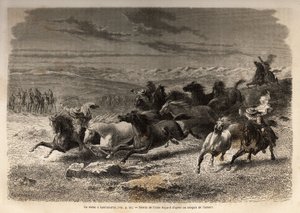 ラウラマルカ（ペルー下流）でのロデオ。野生の馬を捕獲し、その前に地域の所有者のイニシャルを鉄でマーキングして、完全な見世物とし、多くのバドーが集まった。キンキンの谷での航海を説明するためのエングレーヴィング