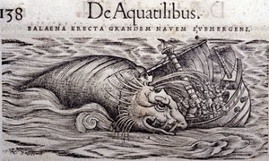 クジラが船体を破壊して沈没させる。コンラッド・ゲスナー(1516-1565)の『動物史』のエングレーヴィング、ティグリ