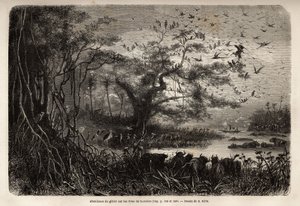 ザンベーズ川のほとりの豊富なゲーム。1840年から1856年にかけて行われたリビングストン博士の南部アフリカへの最初の航海を、エドゥアール・シャルトンの指導のもとに出版された「Le tour du monde, nouveau journal des voyages」に掲載されたエングレーヴィング。